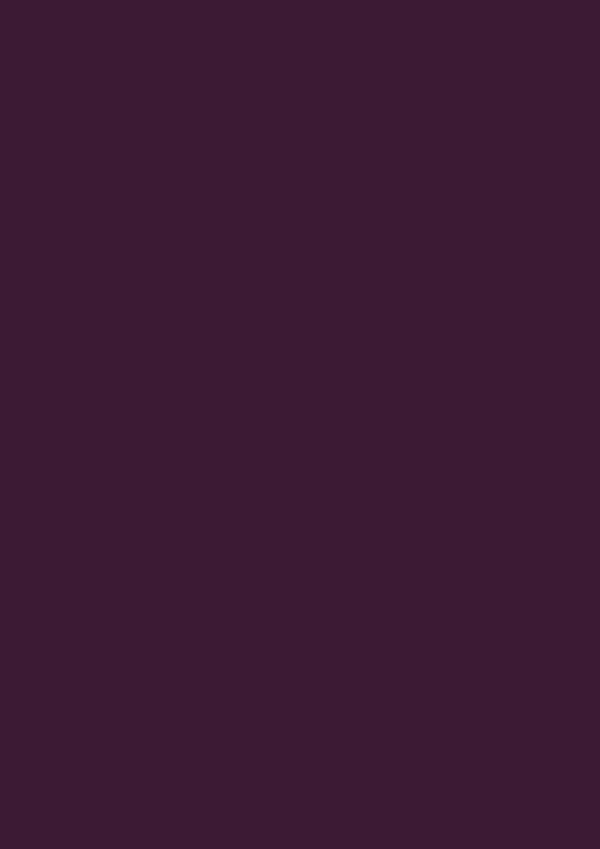 2.5l Estate Emulsion Brinjal No. 222 – Image 2