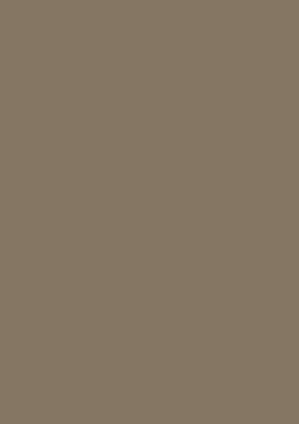 2.5l Estate Emulsion Broccoli Brown No. 198 – Image 2
