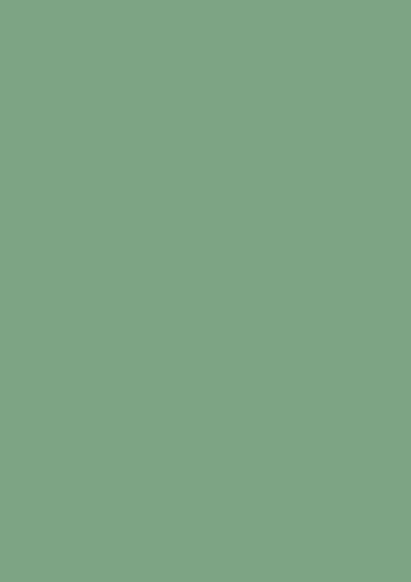 2.5l Estate Emulsion Card Room Green No. 79 – Image 2