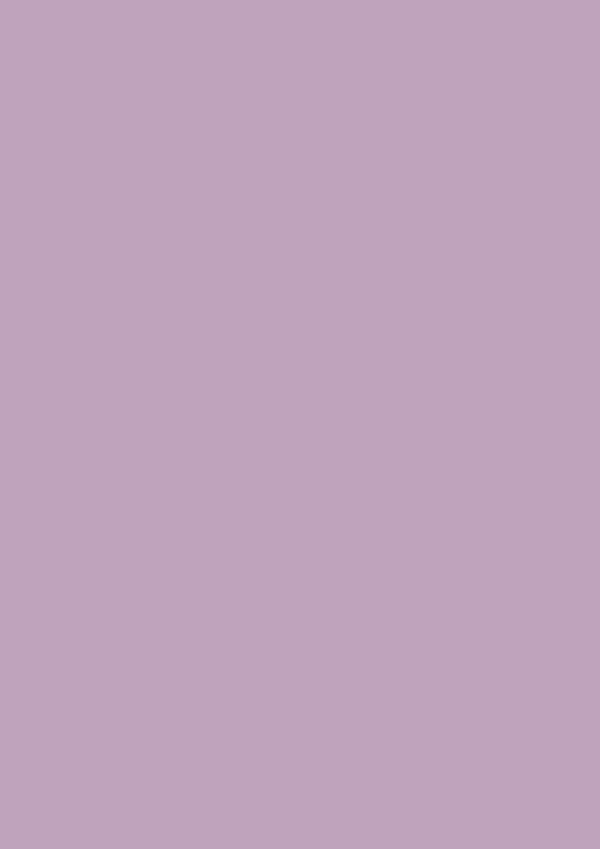 2.5l Estate Emulsion Cinder Rose No. 246 – Image 2