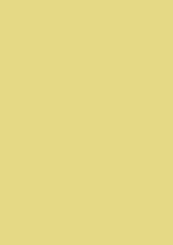 2.5l Estate Emulsion Cord No. 16 – Image 2