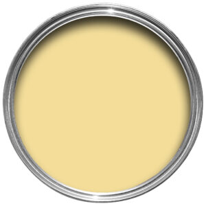 100ml Sample Pot Dayroom Yellow No. 233