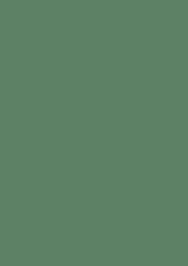 2.5l Estate Emulsion Green Smoke No. 47 – Image 2