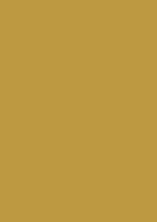 2.5l Estate Emulsion India Yellow No. 66 – Image 2