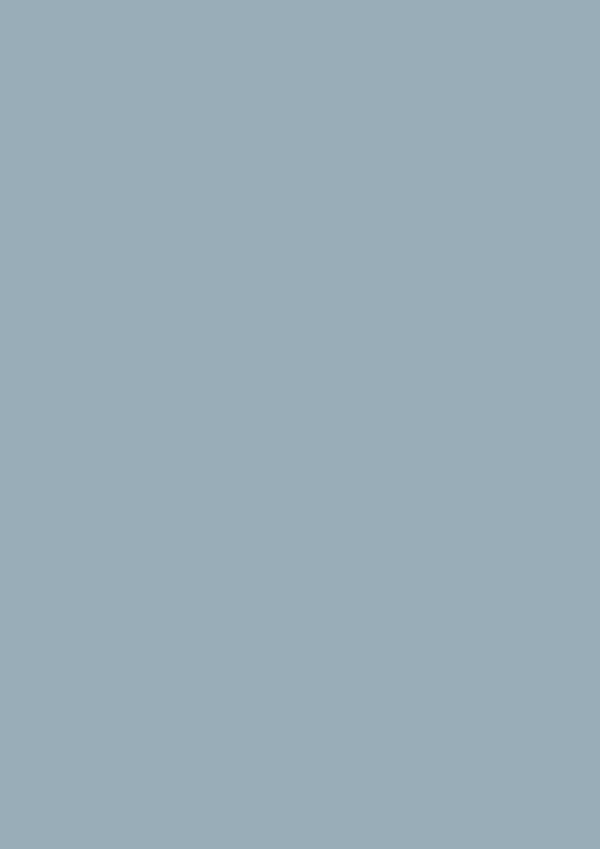 2.5l Estate Emulsion Kittiwake No. 307 – Image 2