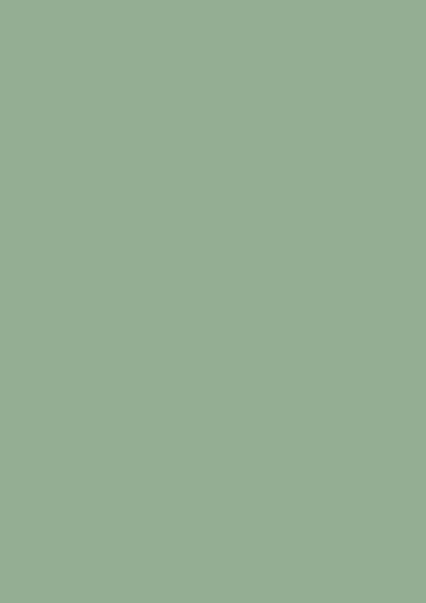 2.5l Estate Emulsion Pigeon No. 25 – Image 2