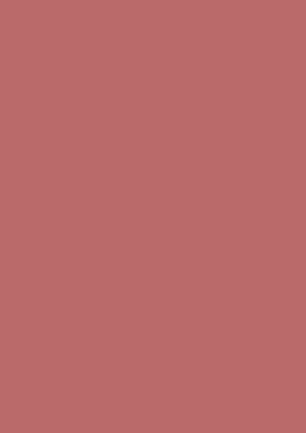 2.5l Estate Emulsion Red Earth No. 64 – Image 2