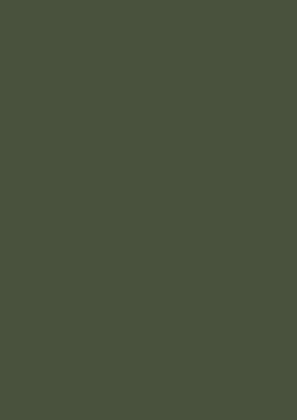 2.5l Estate Emulsion Reduced Green No. 313 – Image 2