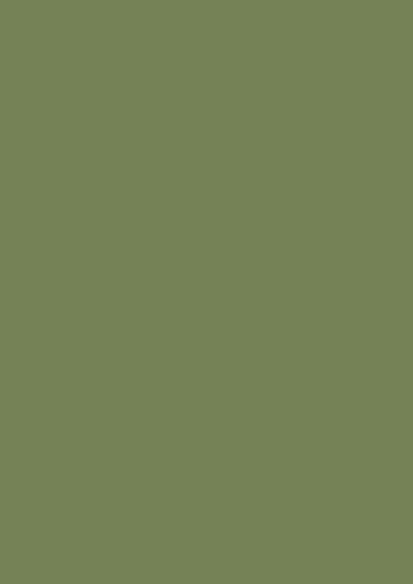 2.5l Estate Emulsion Sap Green No. 199 – Image 2