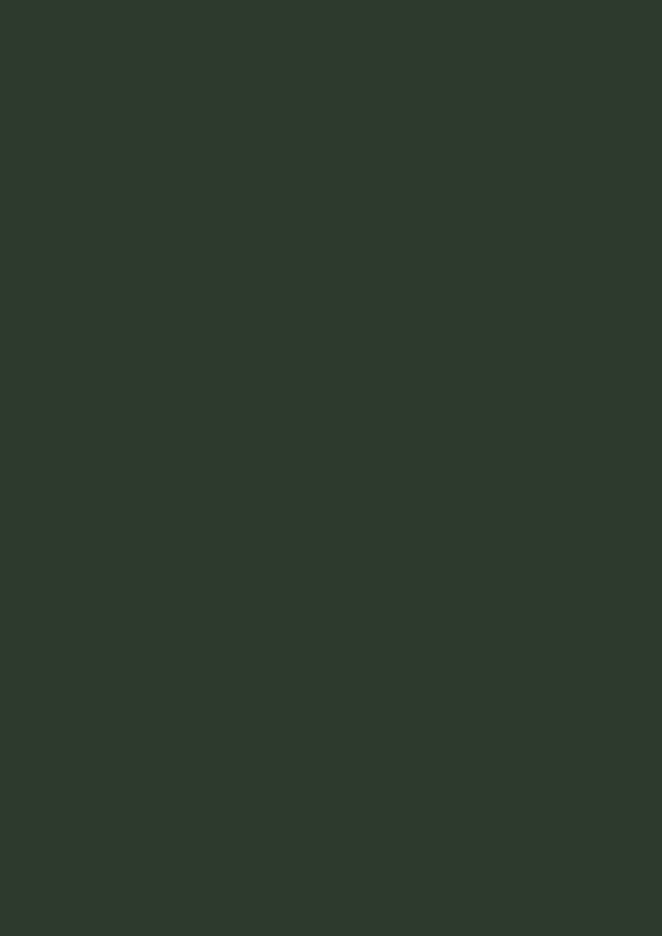 2.5l Estate Emulsion Studio Green No. 93 – Image 2
