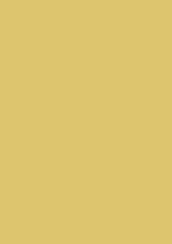2.5l Estate Emulsion Sudbury Yellow No. 51 – Image 2