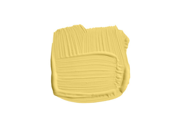 2.5l Estate Emulsion Sudbury Yellow No. 51 – Image 3