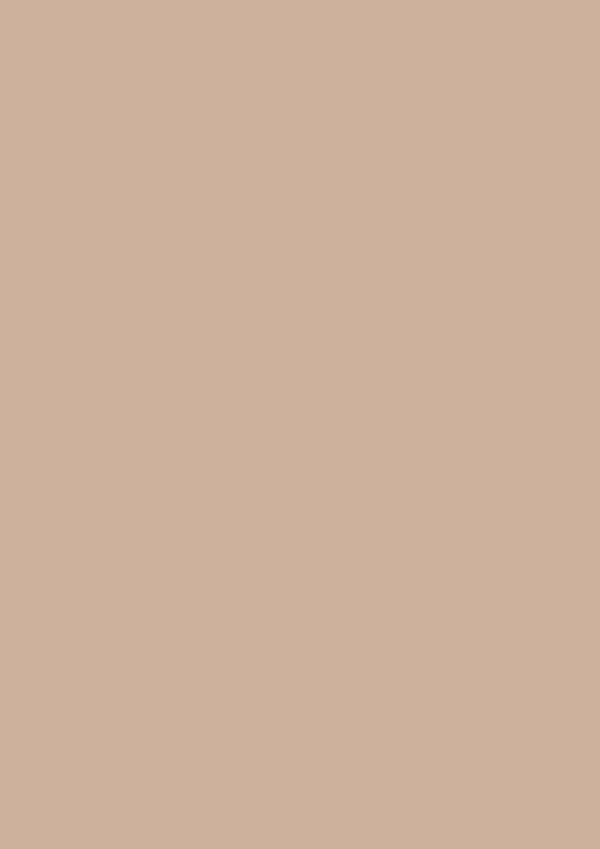2.5l Estate Emulsion Templeton Pink No. 303 – Image 2