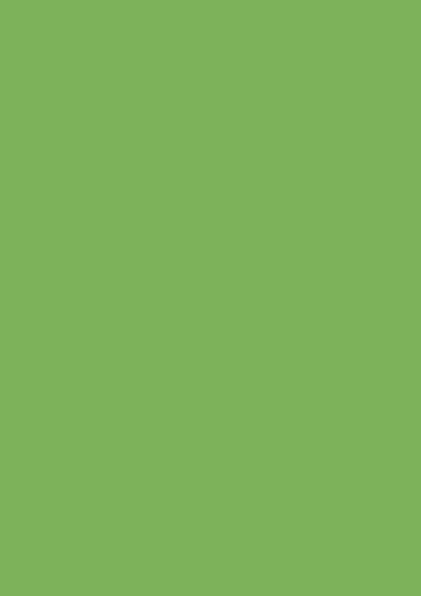 2.5l Estate Emulsion Yeabridge Green No. 287 – Image 2