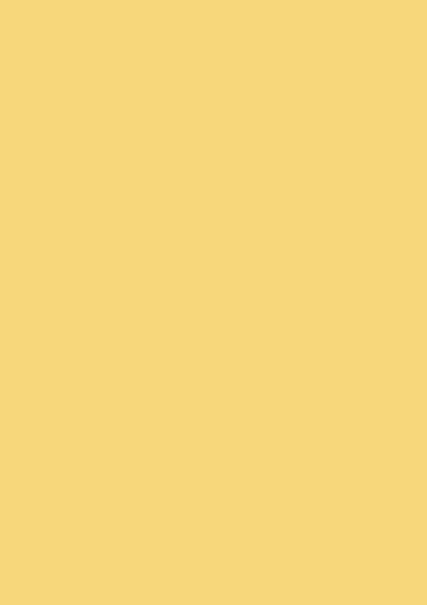 2.5l Estate Emulsion Yellow Ground No. 218 – Image 2