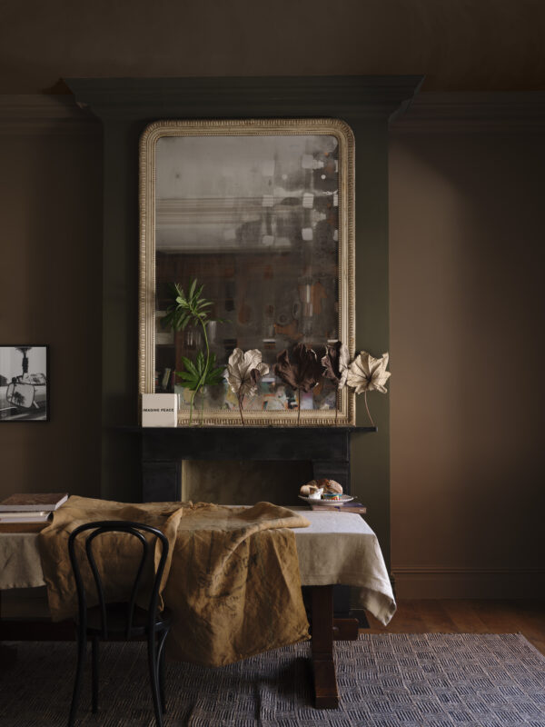 5l Estate Emulsion Broccoli Brown No. 198 – Image 3