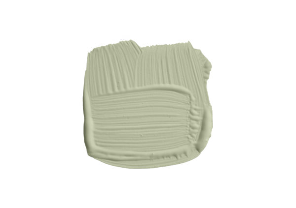 5l Estate Emulsion Drop Cloth No. 283 – Image 2