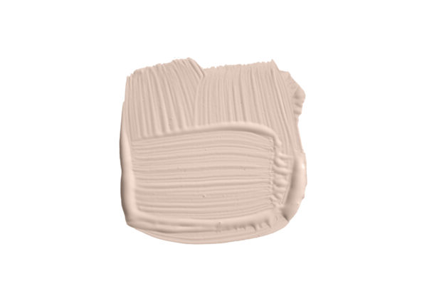 5l Estate Emulsion Setting Plaster No. 231 – Image 2