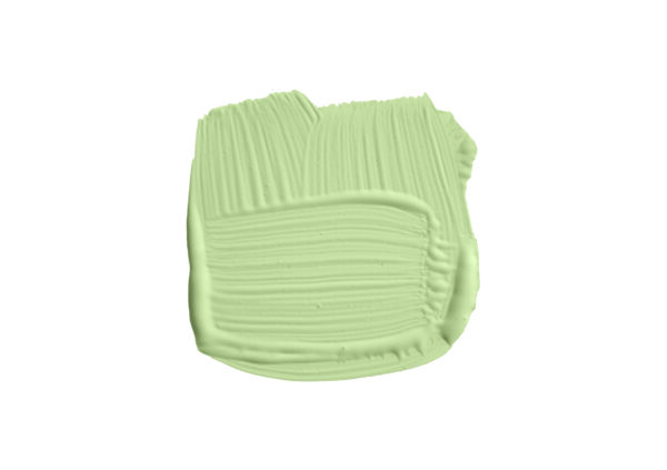 5l Estate Emulsion Vert De Terre No. 234 – Image 2