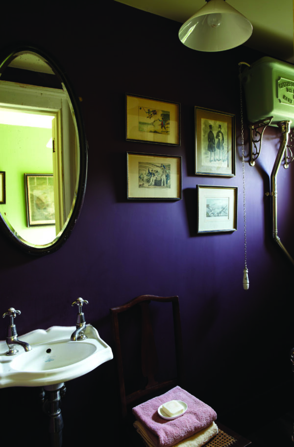 5l Modern Emulsion Brinjal No. 222 – Image 3