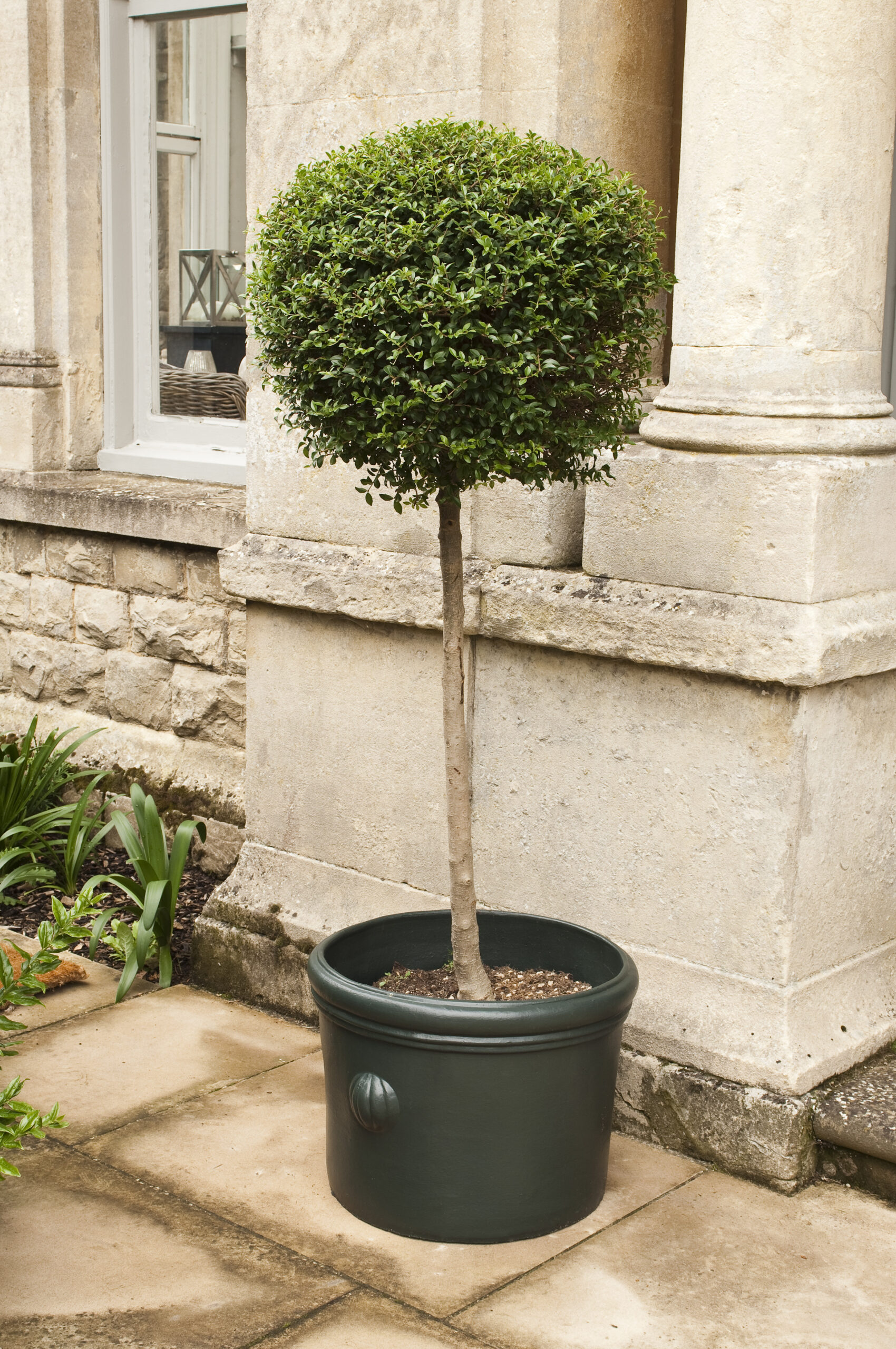 750ml Exterior Eggshell Studio Green No. 93 - Image 4