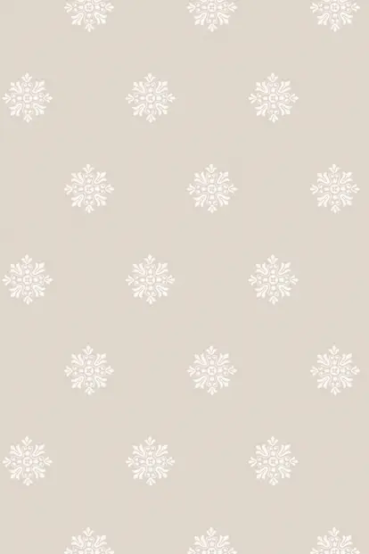 Brockhampton Star 520