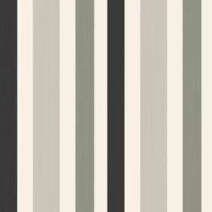 Chromatic Stripe 4201