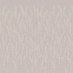 Feathergrass 5101