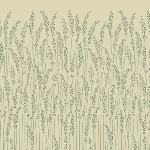Feathergrass 5105